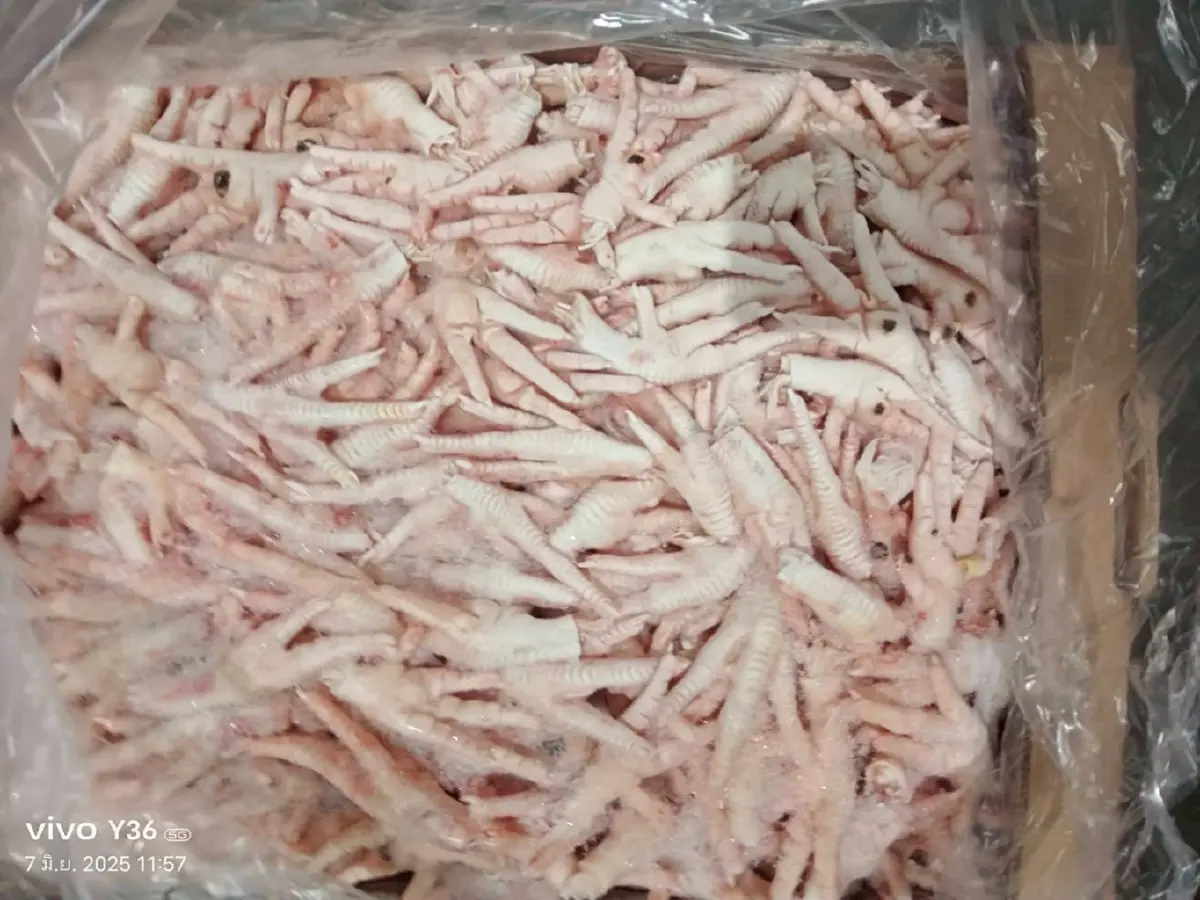 จับลักลอบ 'ขาไก่เถื่อน' กว่า 346 ตันจากบราซิล แหล่งระบาดไข้หวัดนก