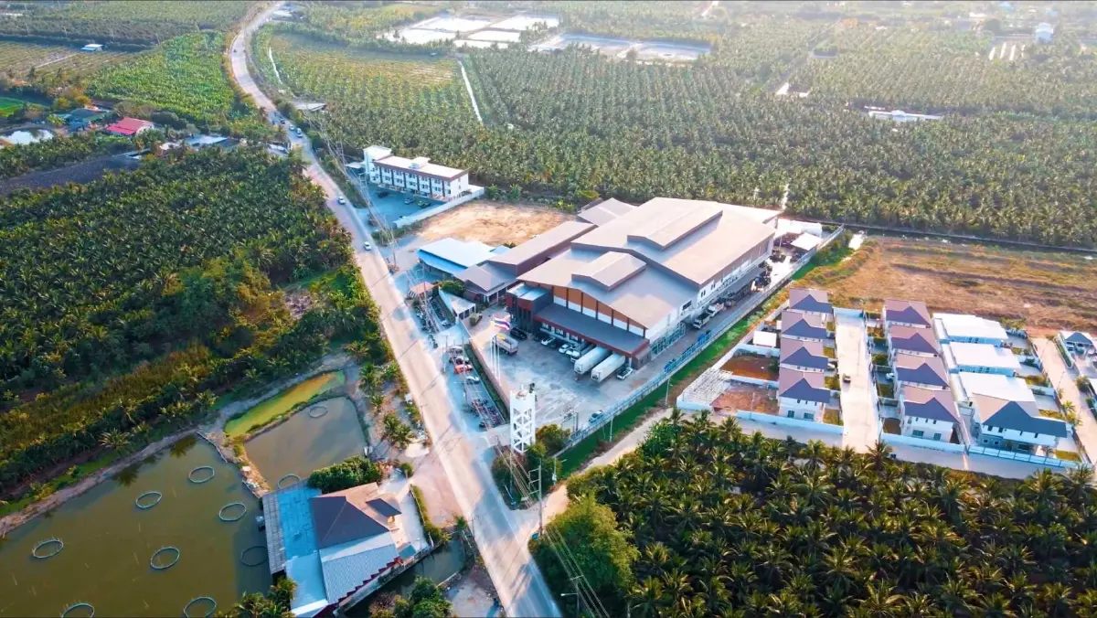 สร้างทักษะ AI ขับเคลื่อนอนาคตคนไทย สู่ความยั่งยืนในทุกอาชีพ