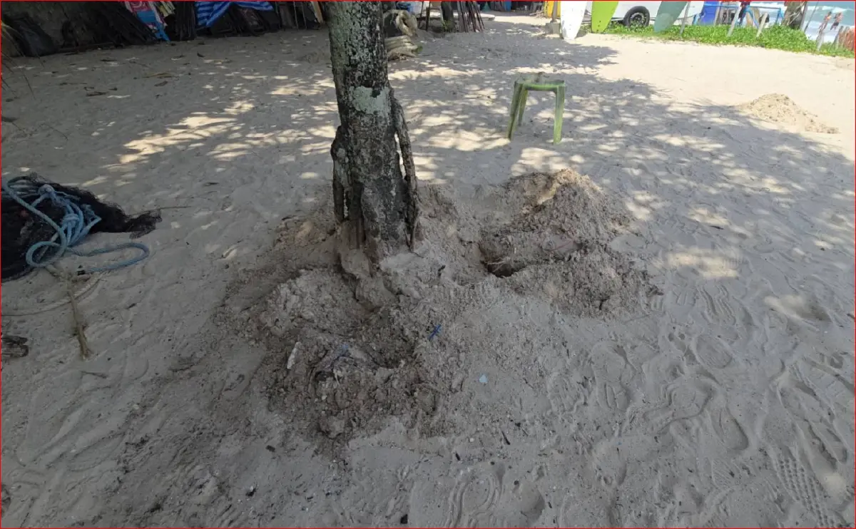 วางระเบิด ภูเก็ต-กระบี่ป่วน ผู้ต้องหาสารภาพ 4 จุดโจมตี