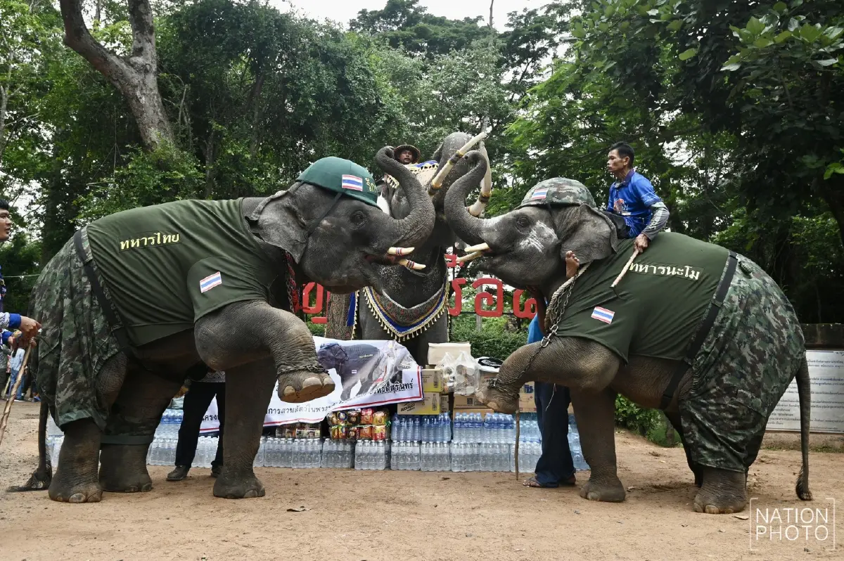 “ณัฐพล” นำช้าง 4 เชือก ให้กำลังใจทหารที่ "ปราสาทตาเมือนธม"