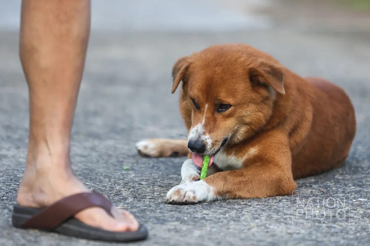 เปิดบ้านพัก “แม่ทัพมนต์แคน” พล.ท. บุญสิน พาดกลาง มุมสงบผู้นำทัพ