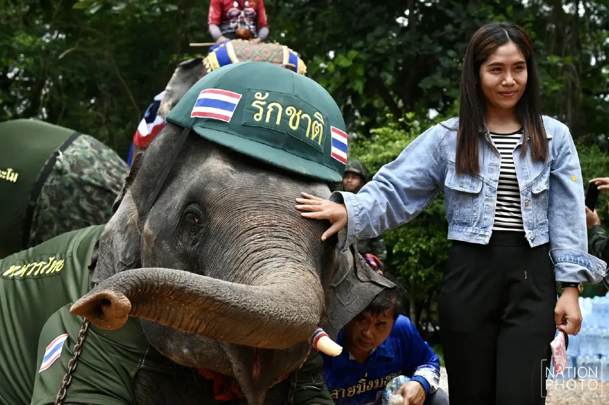 “ณัฐพล” นำช้าง 4 เชือก ให้กำลังใจทหารที่ "ปราสาทตาเมือนธม"