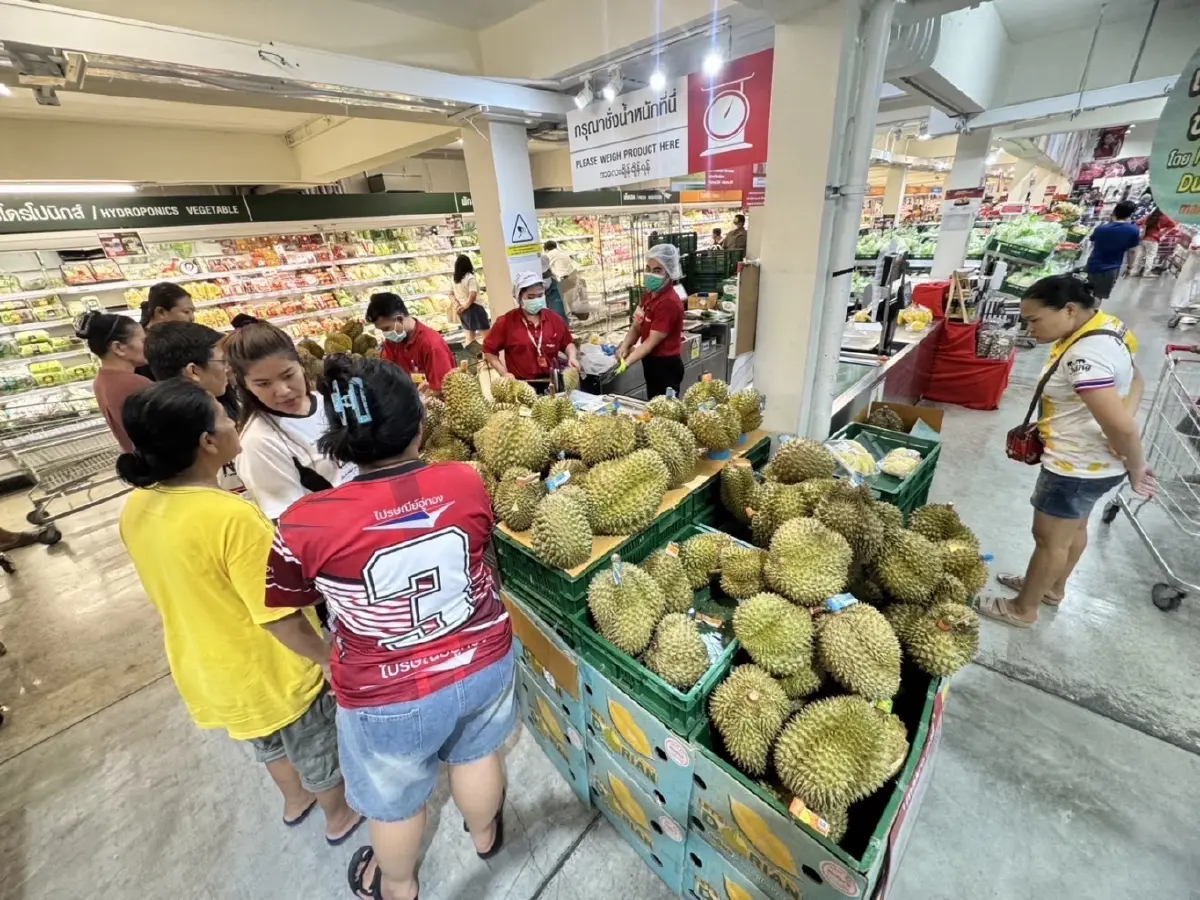 "พูใหญ่ เนื้อดี เปลือกบาง" แกะรอยคุณภาพและความอร่อย “ทุเรียนที่แม็คโคร-โลตัส” ใส่ใจตั้งแต่ต้นทาง ด้วยหัวใจของเกษตรกรไทย