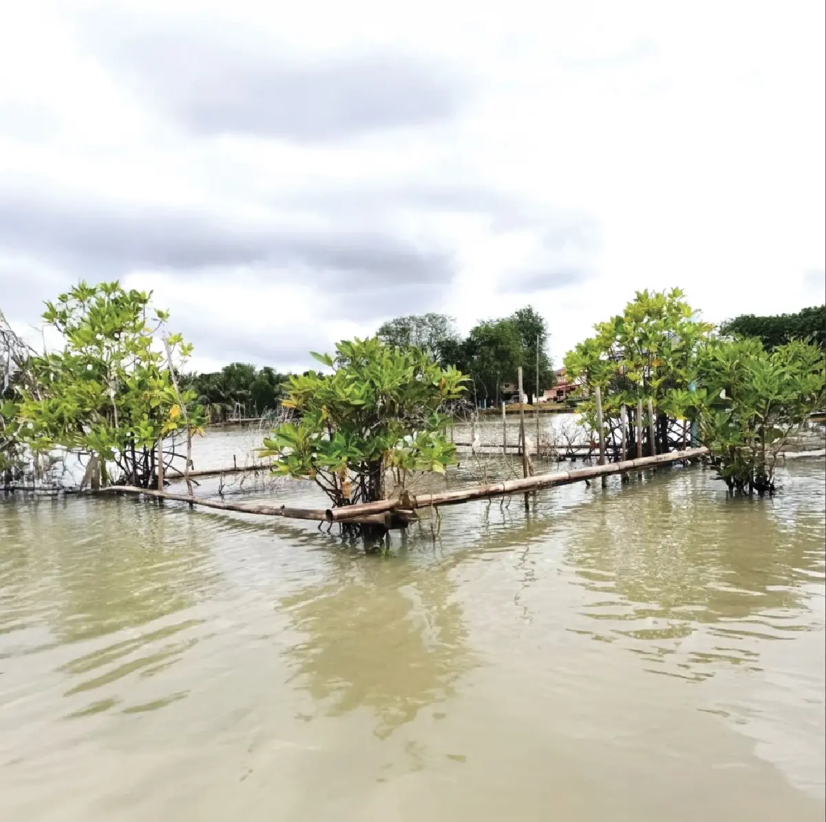 “บ้านปลามีชีวิต” นวัตกรรมรางวัลระดับนานาชาติ แห่งทะเลสาบสงขลา