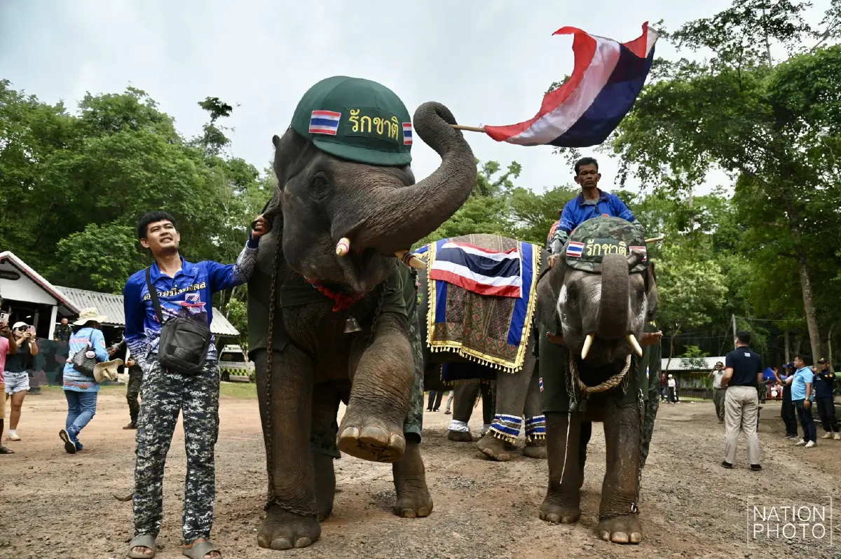 “ณัฐพล” นำช้าง 4 เชือก ให้กำลังใจทหารที่ "ปราสาทตาเมือนธม"