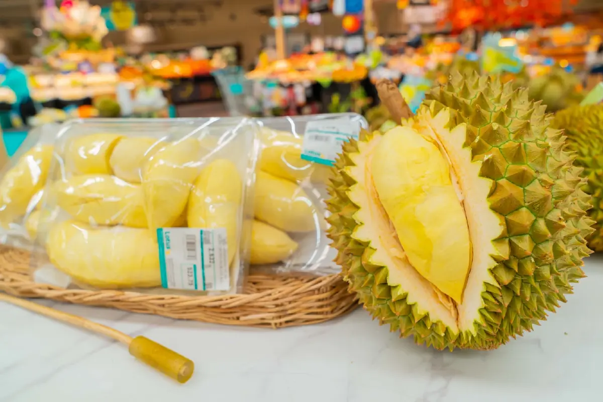 "พูใหญ่ เนื้อดี เปลือกบาง" แกะรอยคุณภาพและความอร่อย “ทุเรียนที่แม็คโคร-โลตัส” ใส่ใจตั้งแต่ต้นทาง ด้วยหัวใจของเกษตรกรไทย