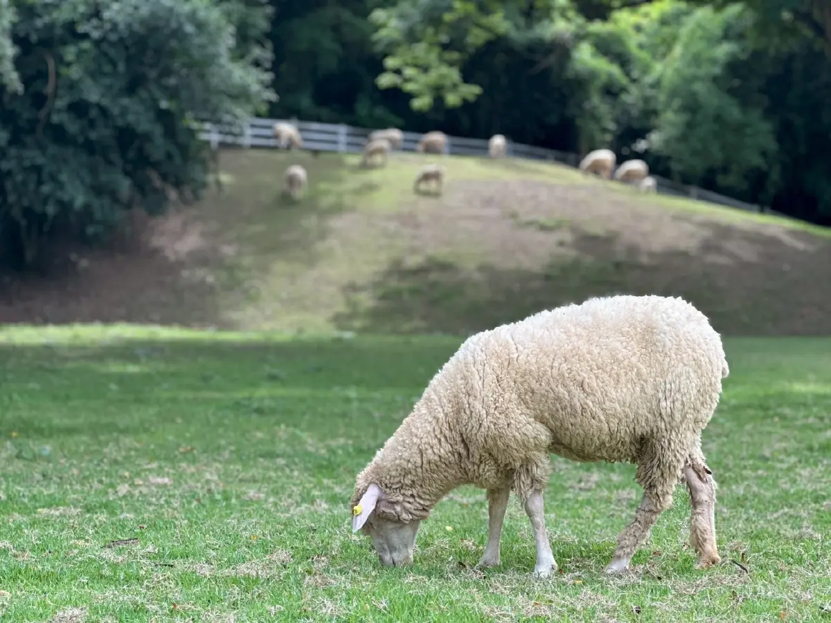 ‘เดอะ ซีนเนอรี่’ จากแปลงหอม สู่แลนมาร์กสวนผึ้ง สร้างรายได้ 80 ล้าน