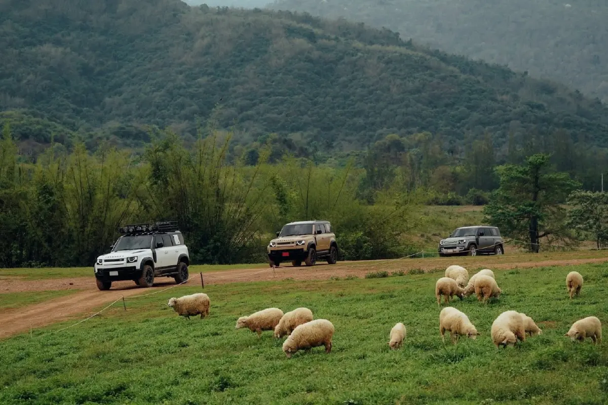 ‘เดอะ ซีนเนอรี่’ จากแปลงหอม สู่แลนมาร์กสวนผึ้ง สร้างรายได้ 80 ล้าน