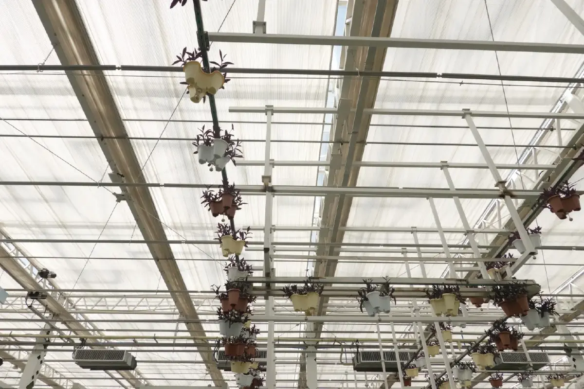 กระจกของอาคารที่ทำให้ต้องแหงนมอง