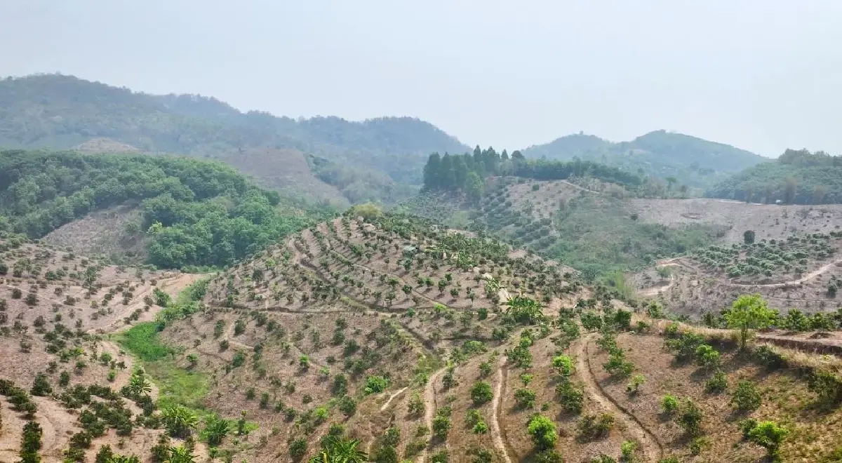 กรมพัฒนาที่ดิน พลิกชีวิตเกษตรกรด้วยบ้านเล็กในป่าใหญ่