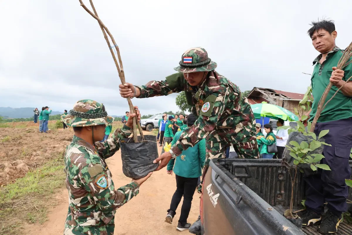โครงการแรก! ใช้ ‘คาร์บอนเครดิต’ พลิกฟื้นป่าเสื่อมโทรมที่ ‘น่าน’