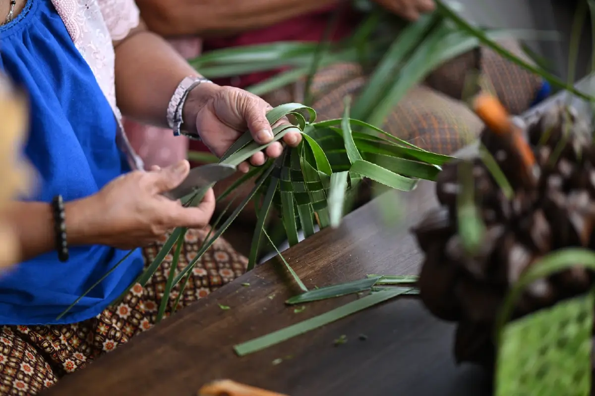 JW Garden ครบ 1 ปี สวนยั่งยืน 68 ไร่ ต้นแบบโรงแรมรักษ์โลกเอเชีย