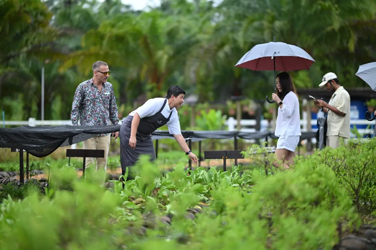 JW Garden ครบ 1 ปี สวนยั่งยืน 68 ไร่ ต้นแบบโรงแรมรักษ์โลกเอเชีย