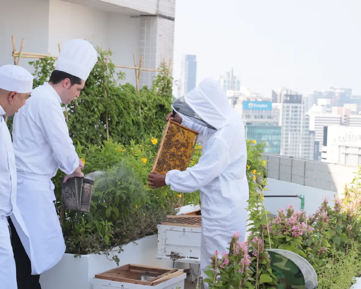 ครั้งแรกกับ “สวนผึ้งบนดาดฟ้า” โรงแรมคอนราด กรุงเทพฯ ความหวานบนความยั่งยืน