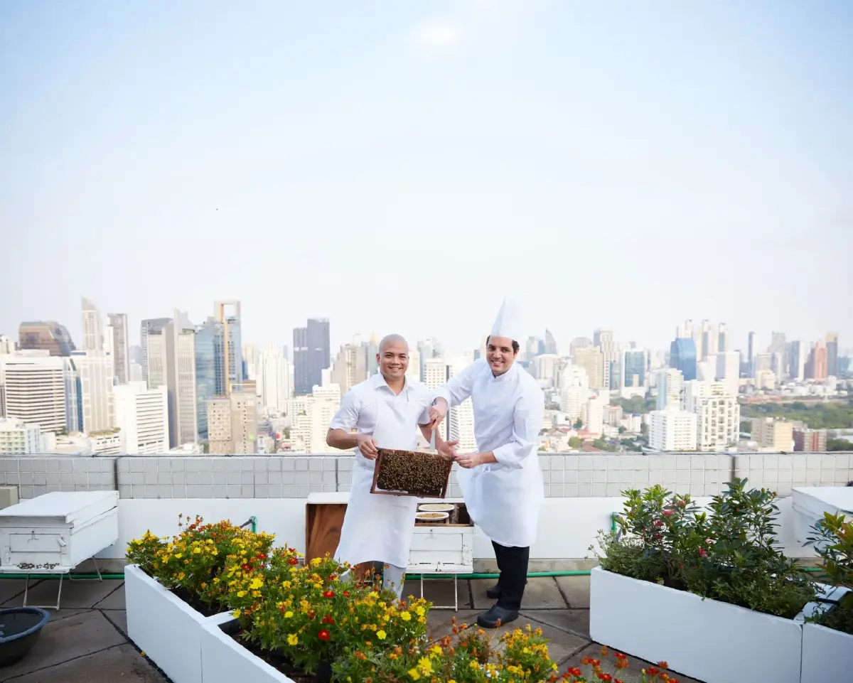 เชฟไรอัน ดาดูฟาลซ่า เอ็กเซ็กคิวทีฟเชฟ และเชฟซิโมเน โพเซอร์ ผู้ช่วยเอ็กเซ็กคิวทีฟเชฟ เข้าดำเนินการตรวจสอบรังผึ้งบนดาดฟ้าเป็นประจำ เพื่อดูแลสุขภาพและประสิทธิภาพของฝูงผึ้งอย่างใกล้ชิด