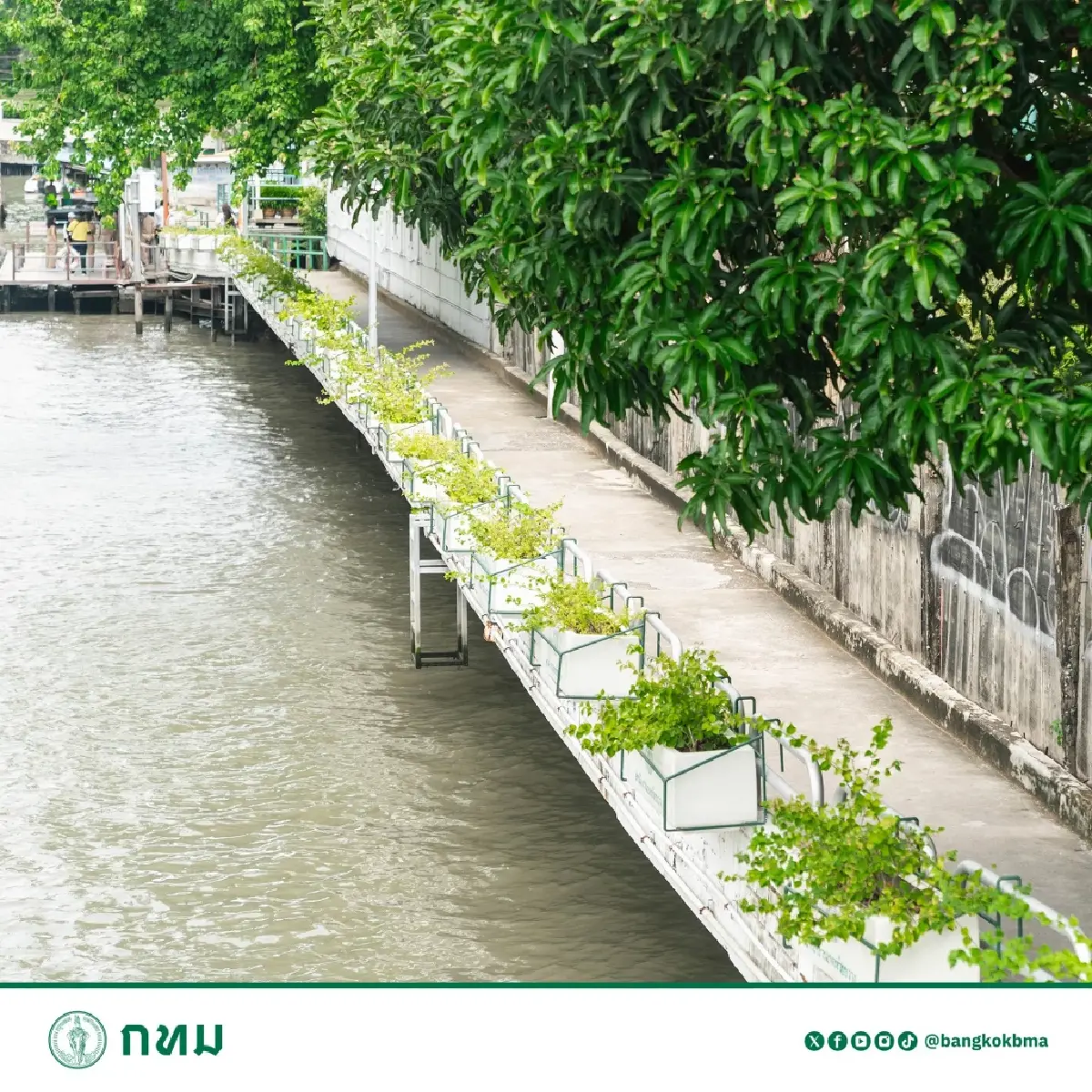 จากพระนครถึงหนองจอก กทม. ปักหมุด "ทางเดิน-จักรยานริมคลองแสนแสบ"