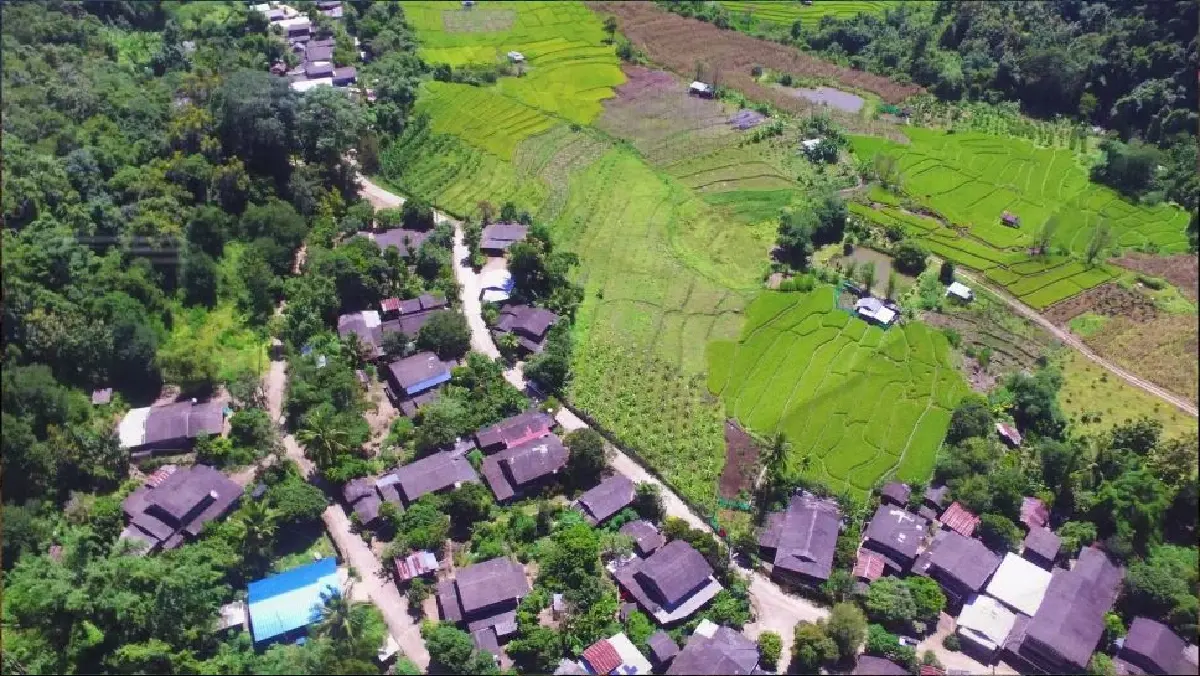 “แม่วากโมเดล” ยกระดับชีวิตเกษตรกรควบคู่ฟื้นฟูสิ่งแวดล้อม