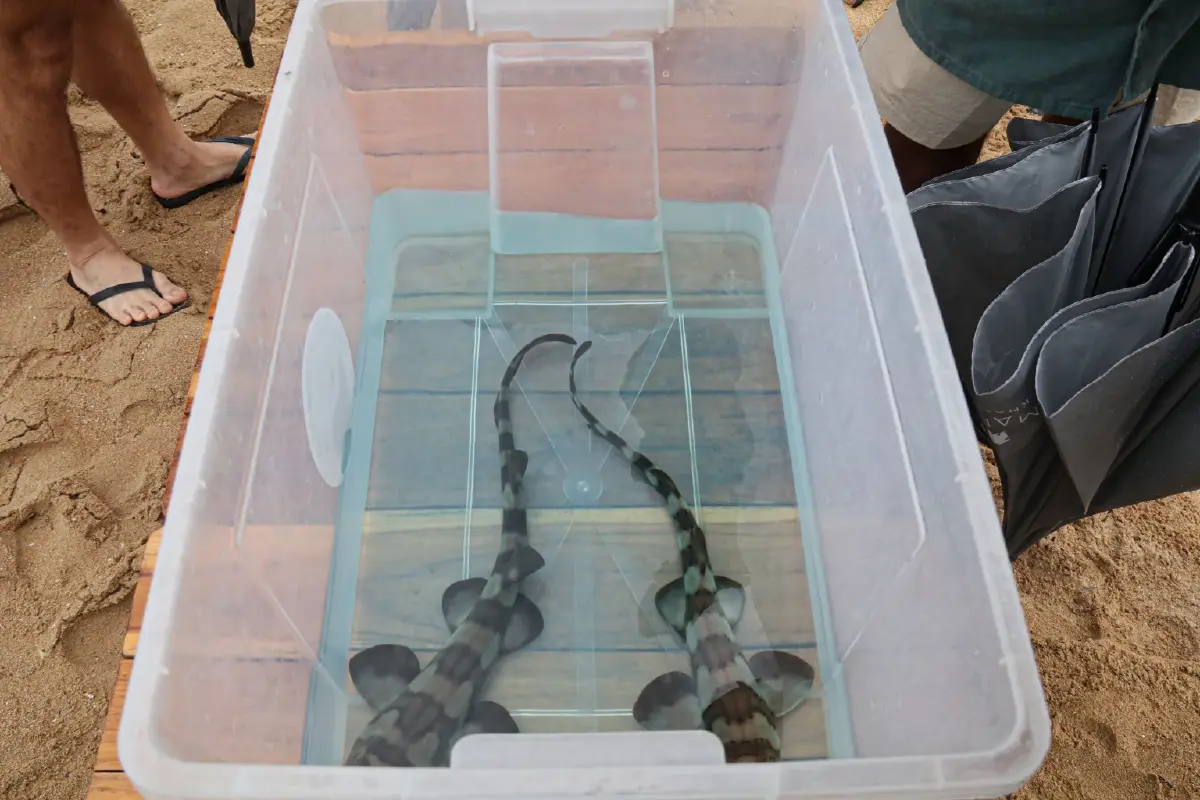 JW Garden ครบ 1 ปี สวนยั่งยืน 68 ไร่ ต้นแบบโรงแรมรักษ์โลกเอเชีย