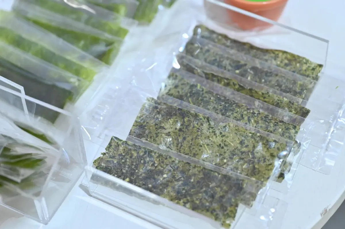 "ไข่ผำ" พืชจิ๋วพื้นบ้าน สู่ผักแผ่นอบกรอบ นวัตกรรมอาหารแห่งอนาคต