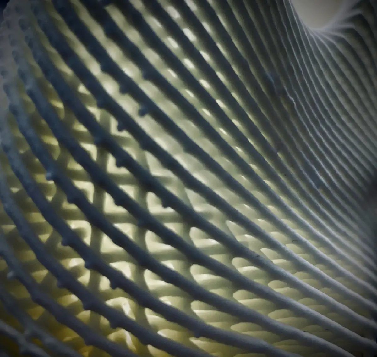 อาดิดาส CLIMACOOL LACED ปฏิวัติวงการรองเท้า เทคโนโลยีพิมพ์ 3 มิติ