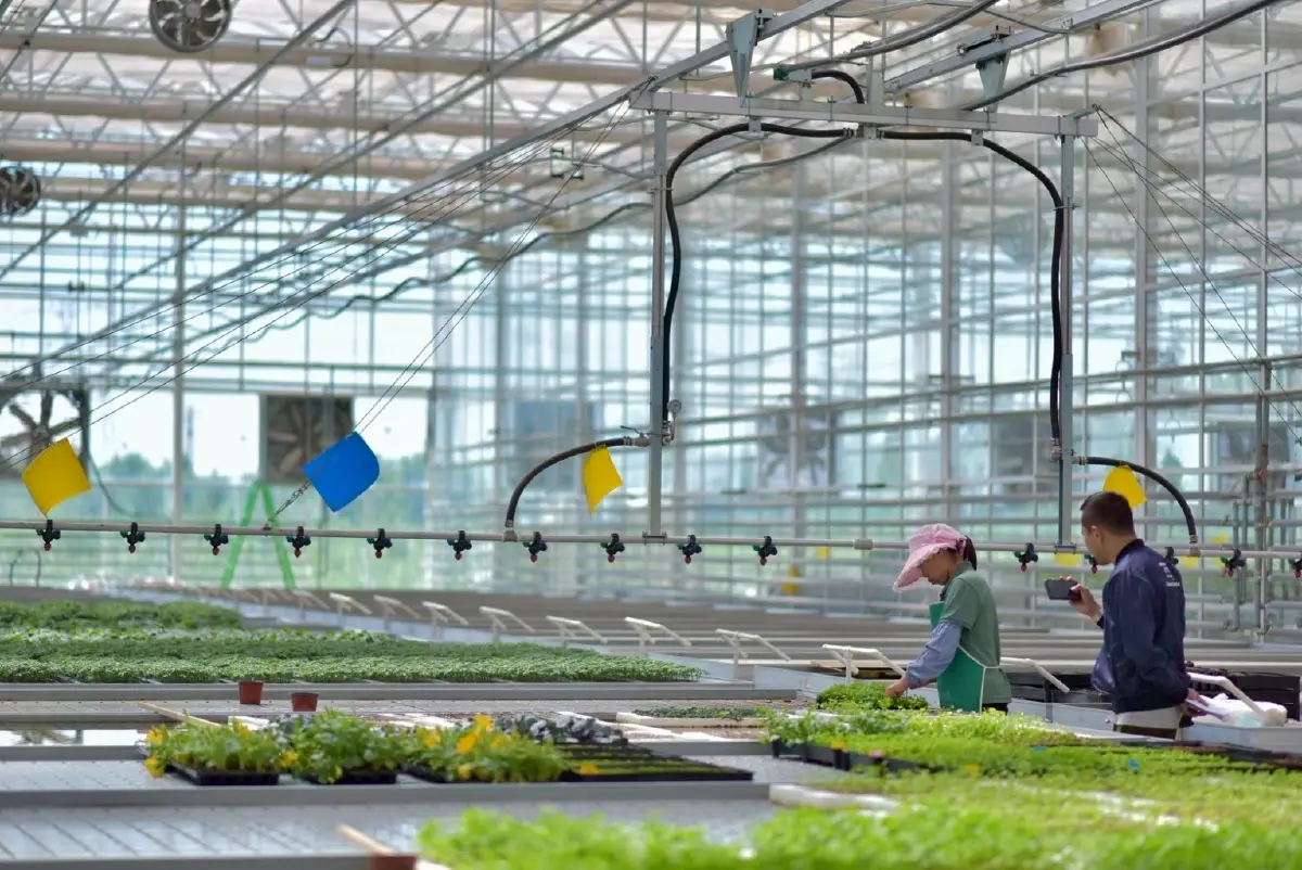 ท่อง ‘ซินเจียง’ พลิกความแห้งแล้ง สู่ พื้นที่เกษตรกรรมสุดไฮเทค!