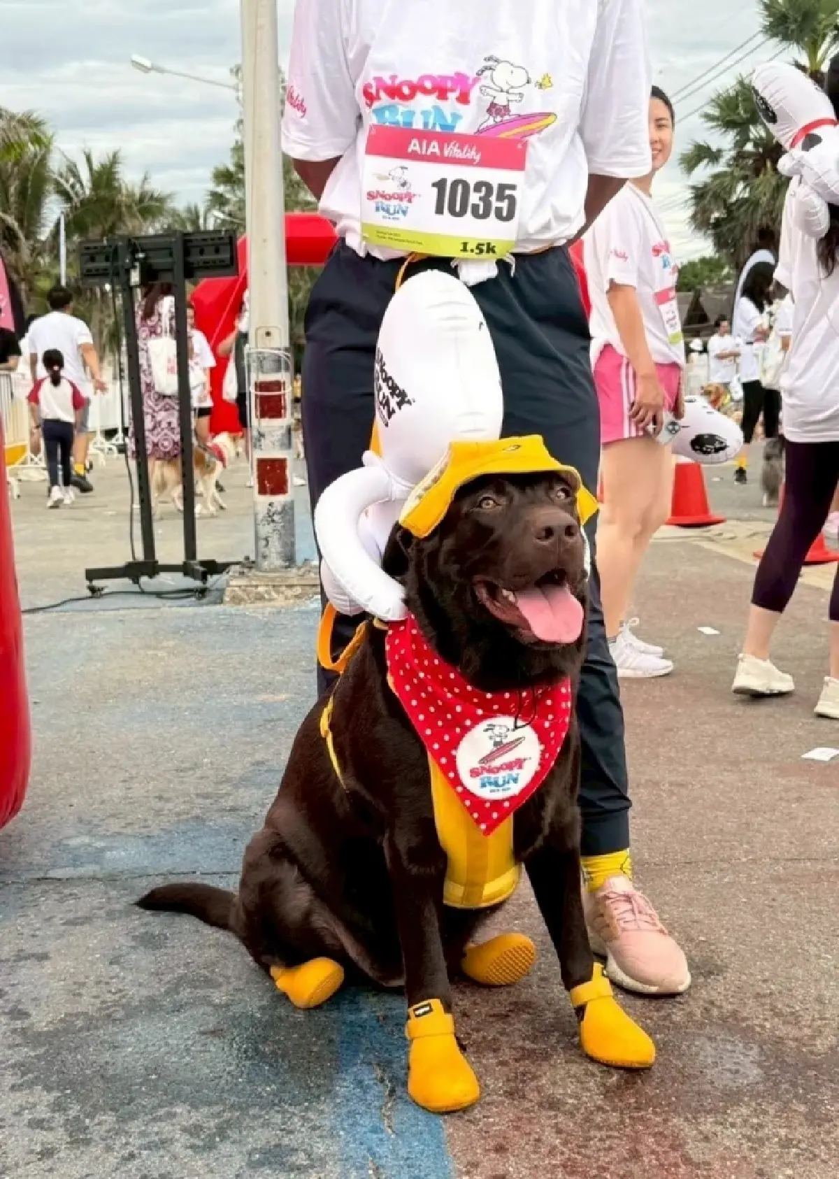 ฤทธิชัย สายสุวรรณ : พลิกวิกฤต Charlie Brown สู่ Snoopy Run