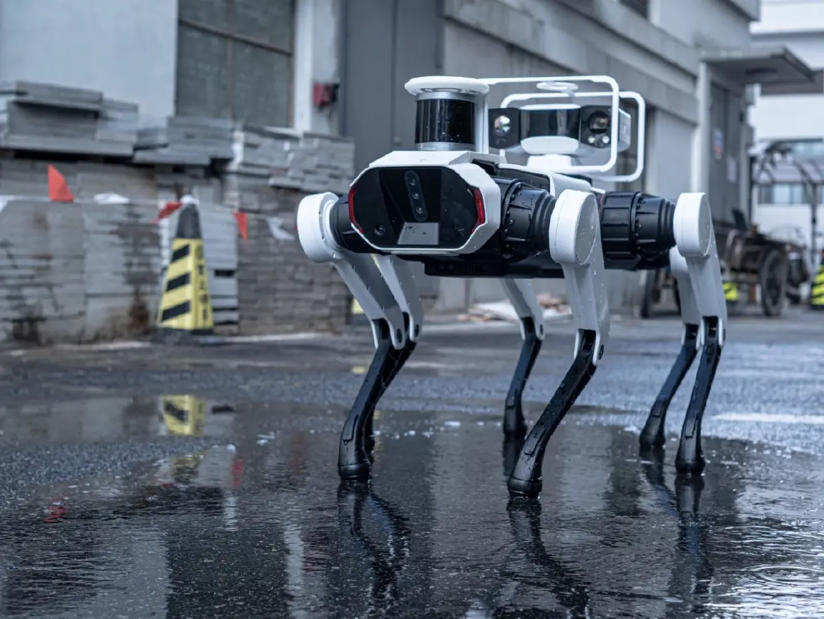 หุ่นยนต์สุนัขของจีน สู่การดับเพลิงและดูแลซ่อมแซมโบราณสถาน