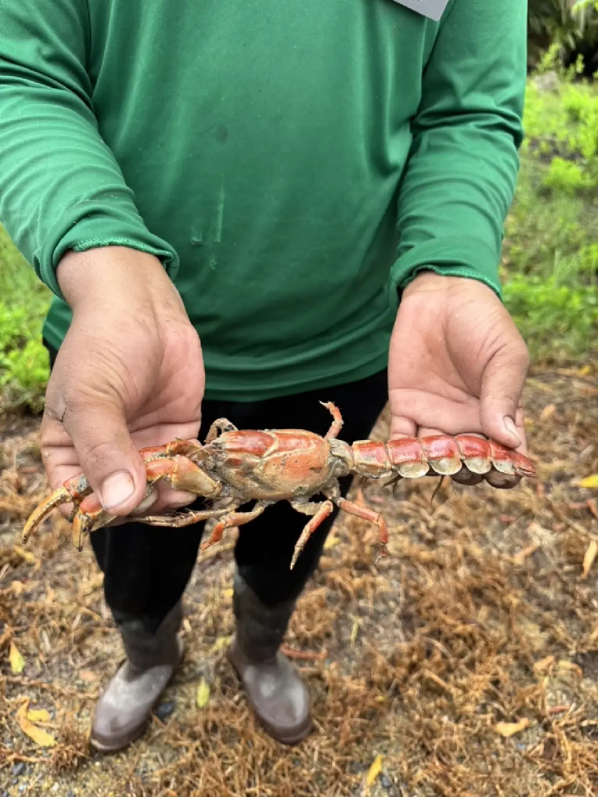 JW Garden ครบ 1 ปี สวนยั่งยืน 68 ไร่ ต้นแบบโรงแรมรักษ์โลกเอเชีย