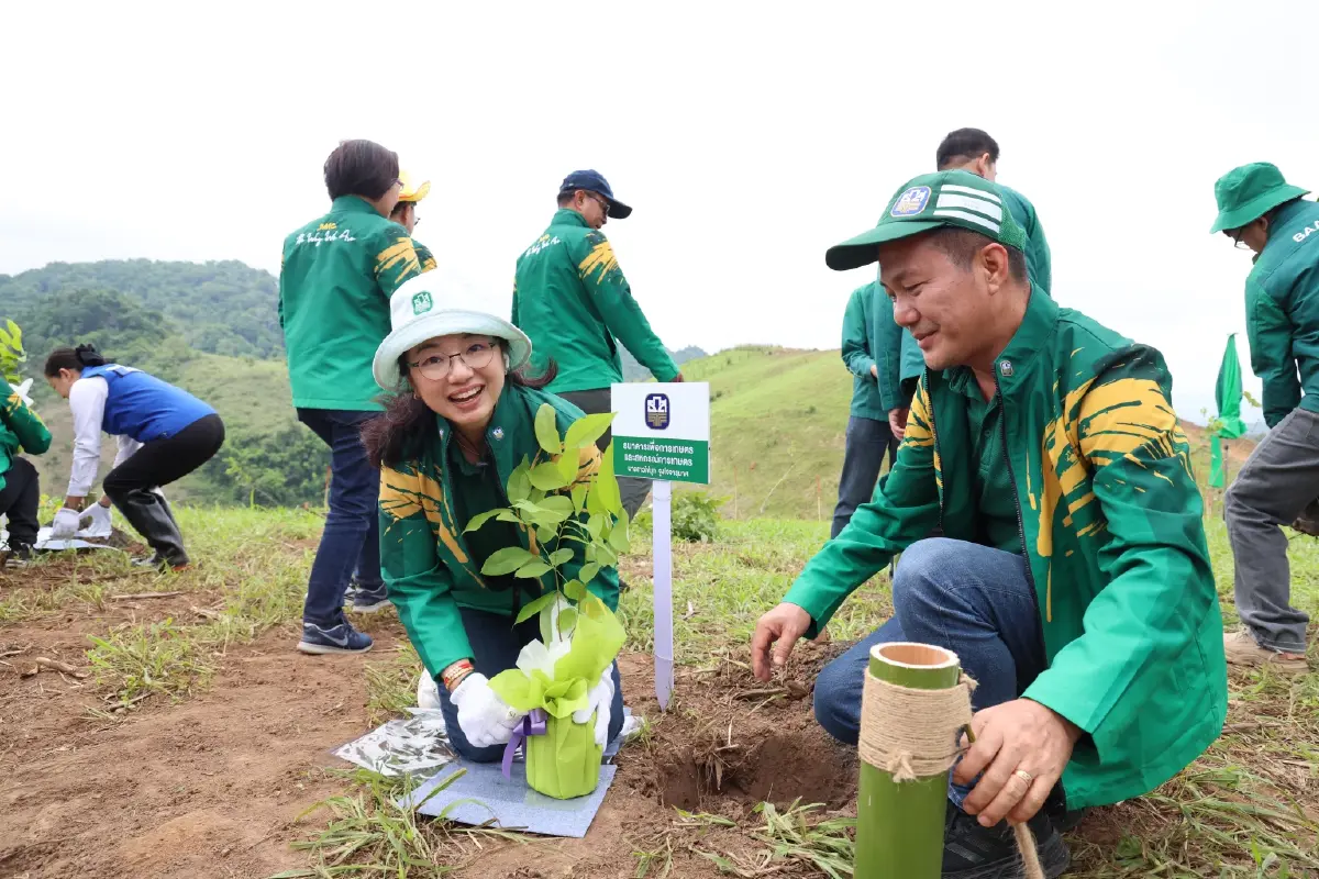 โครงการแรก! ใช้ ‘คาร์บอนเครดิต’ พลิกฟื้นป่าเสื่อมโทรมที่ ‘น่าน’