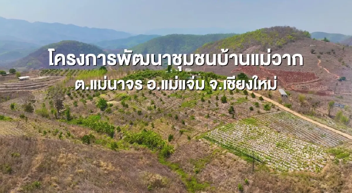 “แม่วากโมเดล” ยกระดับชีวิตเกษตรกรควบคู่ฟื้นฟูสิ่งแวดล้อม