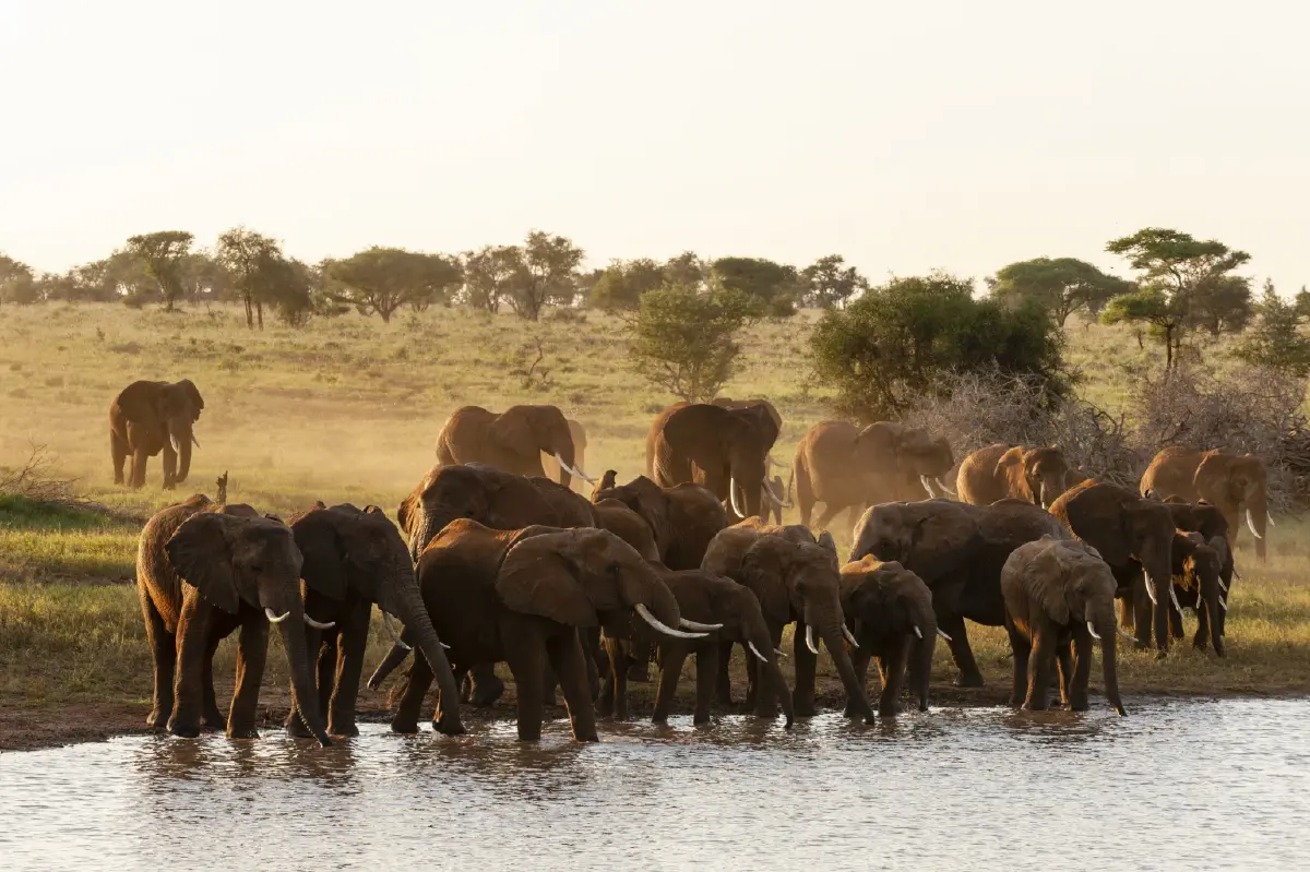 คลับเมดทุบสถิติผลประกอบการสูงสุดปี 67 แรงจากตลาดพรีเมียม