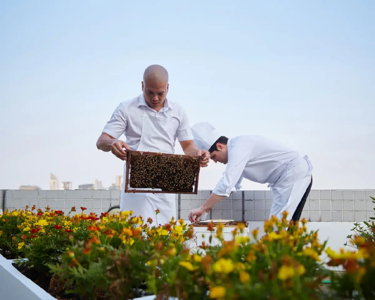 ครั้งแรกกับ “สวนผึ้งบนดาดฟ้า” โรงแรมคอนราด กรุงเทพฯ ความหวานบนความยั่งยืน