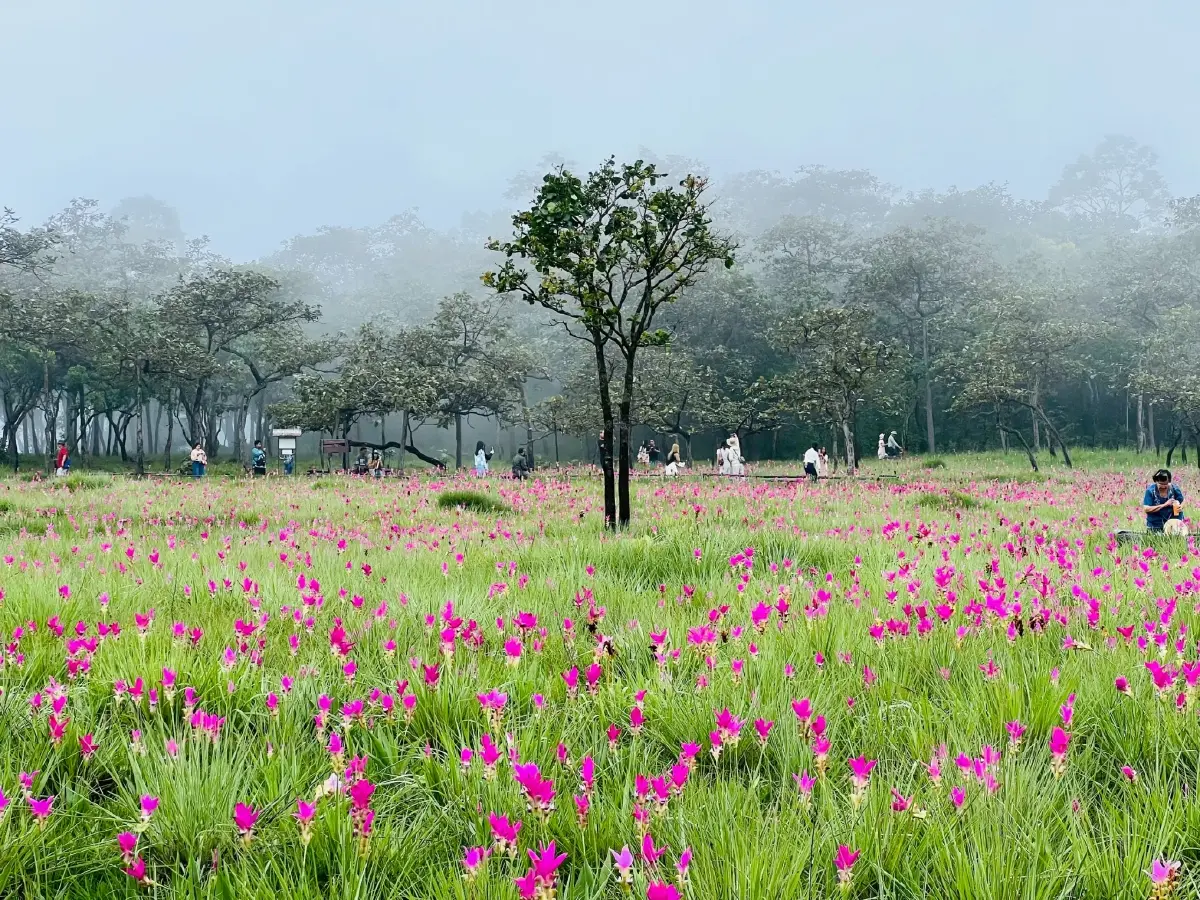 ท่องเที่ยวเลื่อนเก็บค่าเหยียบแผ่นดิน รับสถานการณ์ยังไม่เอื้อ