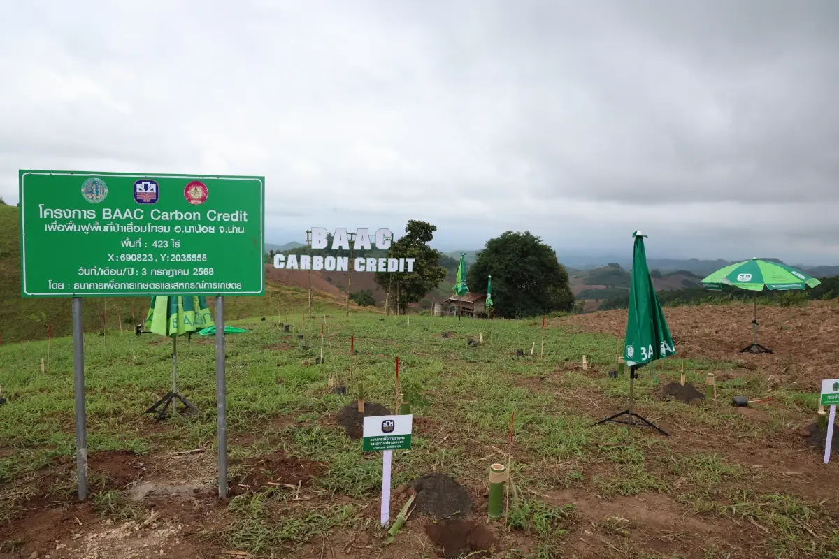 โครงการแรก! ใช้ ‘คาร์บอนเครดิต’ พลิกฟื้นป่าเสื่อมโทรมที่ ‘น่าน’