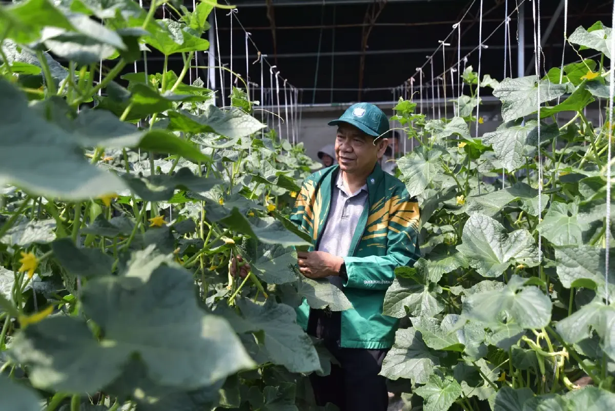 ท่อง ‘ซินเจียง’ พลิกความแห้งแล้ง สู่ พื้นที่เกษตรกรรมสุดไฮเทค!