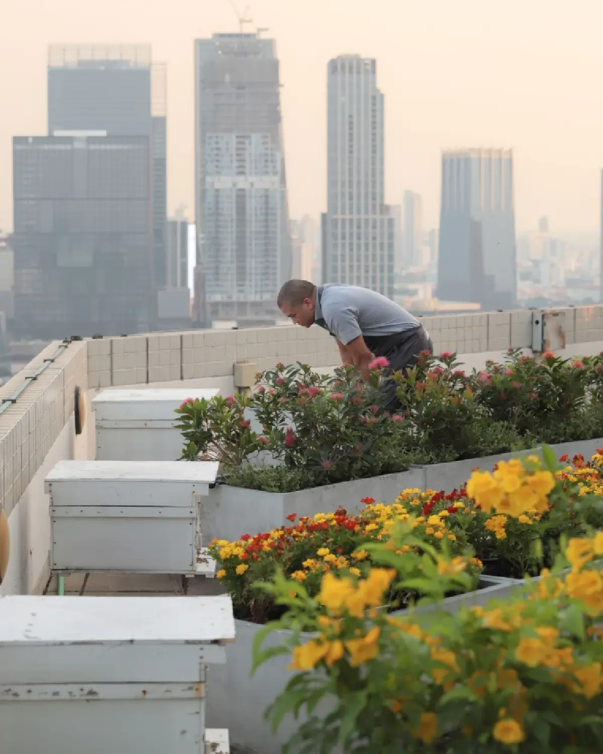 ครั้งแรกกับ “สวนผึ้งบนดาดฟ้า” โรงแรมคอนราด กรุงเทพฯ ความหวานบนความยั่งยืน