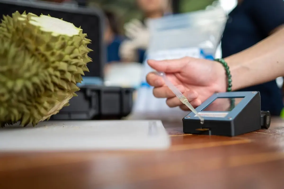 'N-sense' นวัตกรรมไทย ตรวจสาร BY2 ตกค้างในทุเรียน ลดรายจ่าย 10 เท่า