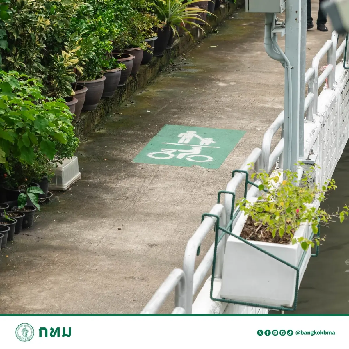 จากพระนครถึงหนองจอก กทม. ปักหมุด "ทางเดิน-จักรยานริมคลองแสนแสบ"