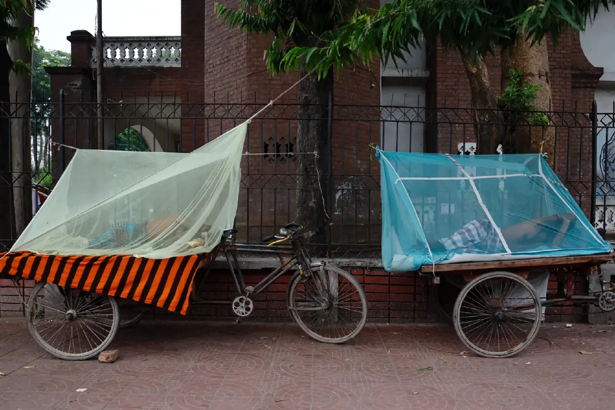 WHO กังวลการระบาดของไวรัสชิคุนกุนยาที่มียุงลายเป็นพาหะ