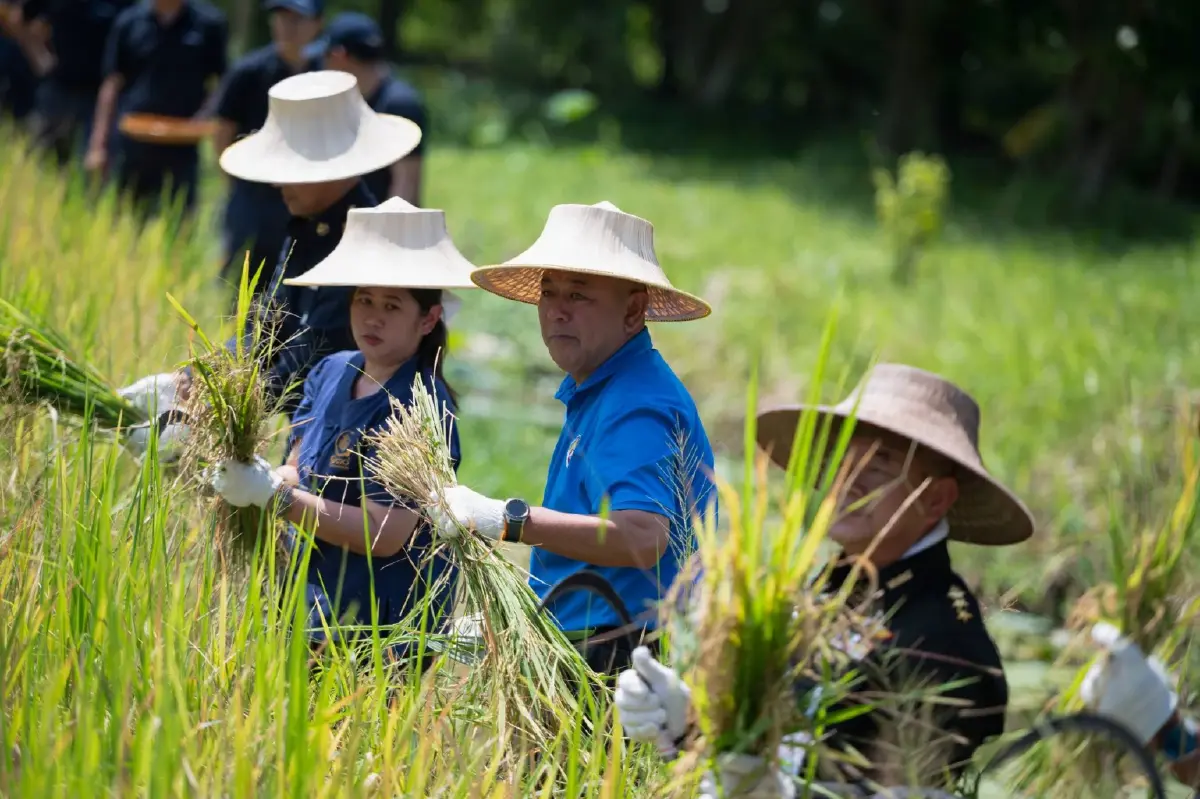GULF หนุนเกษตรอินทรีย์ ครบรอบ 10 ปี ศูนย์เรียนรู้หนองแซง