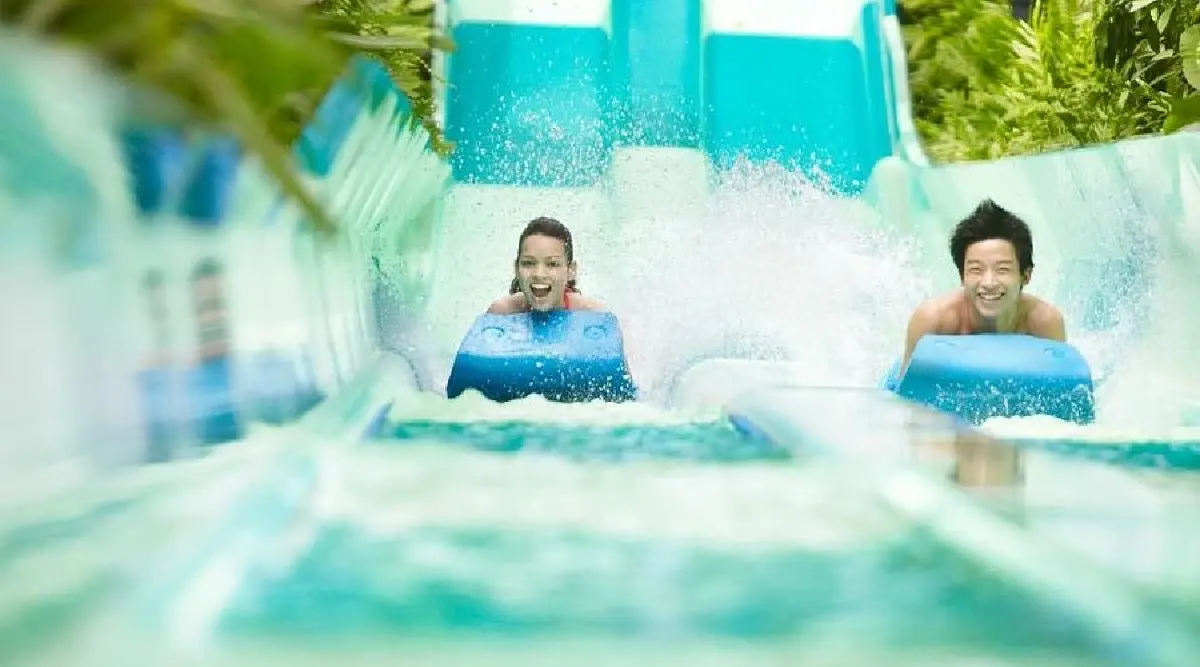 Adventure Cove Waterpark 