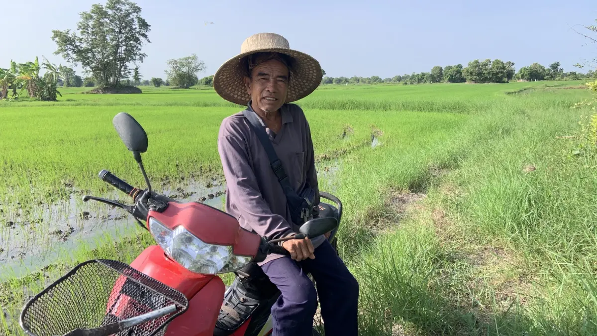 เรื่องร้ายร้าวของชาวนาจาก 'กระดูกสันหลัง' สู่ ‘เนื้อสัน’ ของชาติ