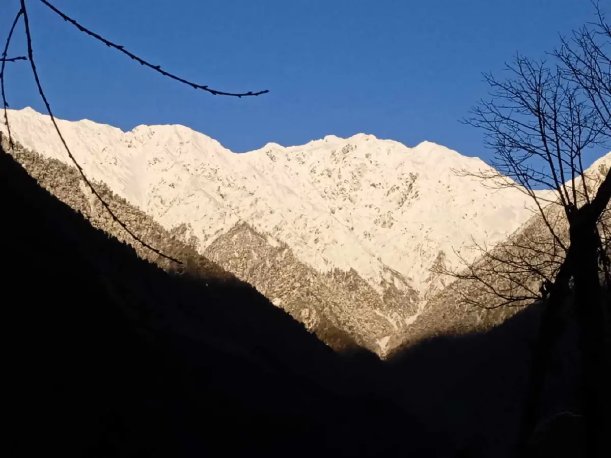 ฮากาโบราซี