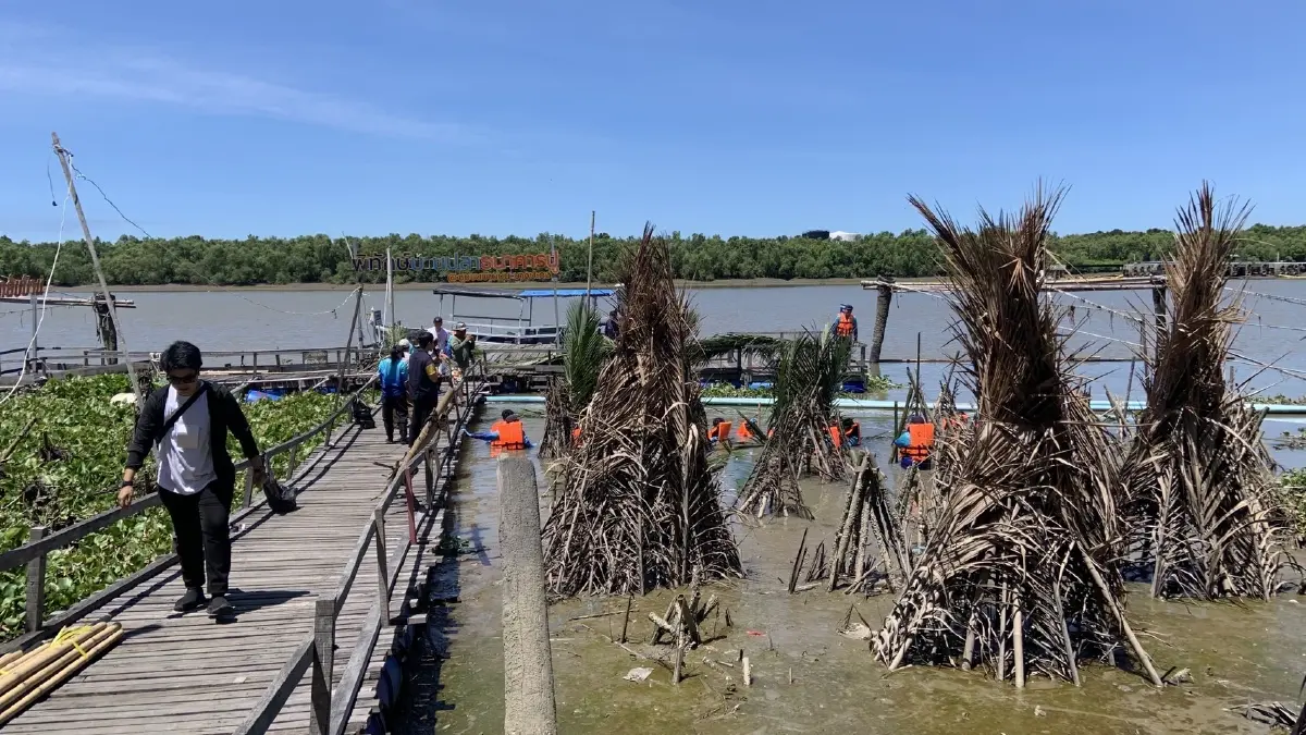 บ้านปลา คอนโดปู ความหวังและความยั่งยืนของชายฝั่งบางปะกง