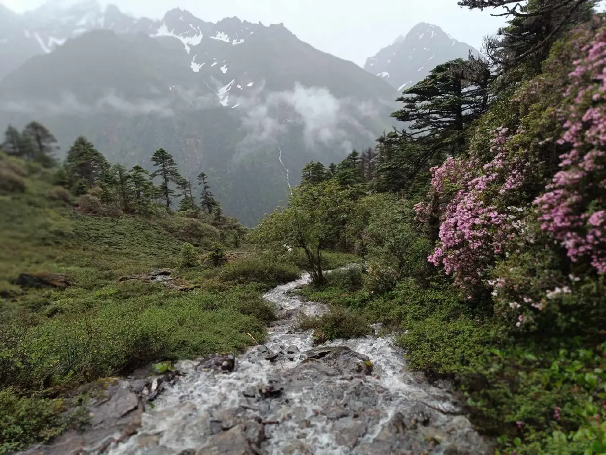 ดอกไม้และสถานที่ท่องเที่ยวของเด็กๆ ในหมู่บ้าน