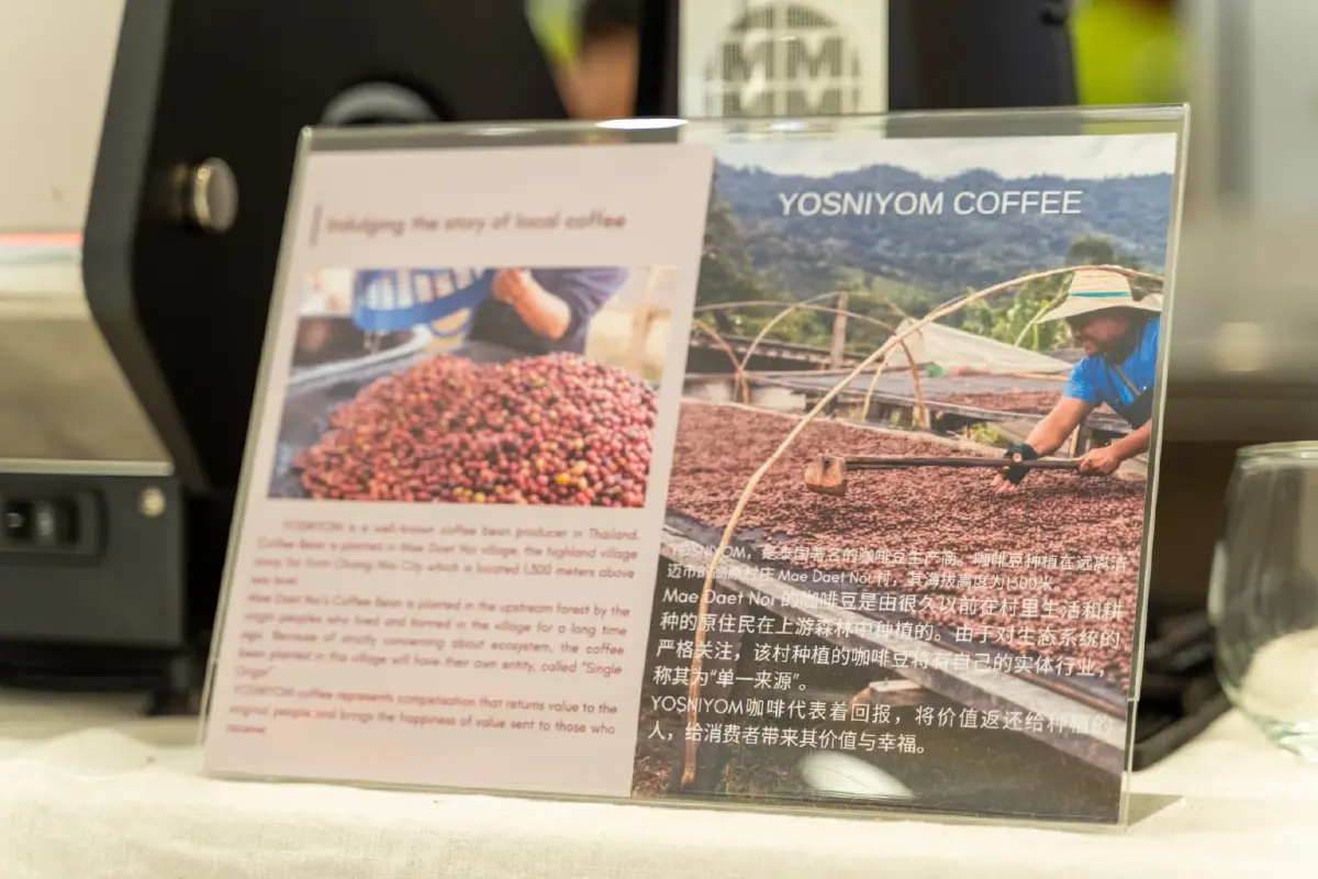 เมล็ดกาแฟสร้างศิลปะ สร้างอาชีพ เผยตลาดกาแฟไทยมูลค่า 6 หมื่นล้าน