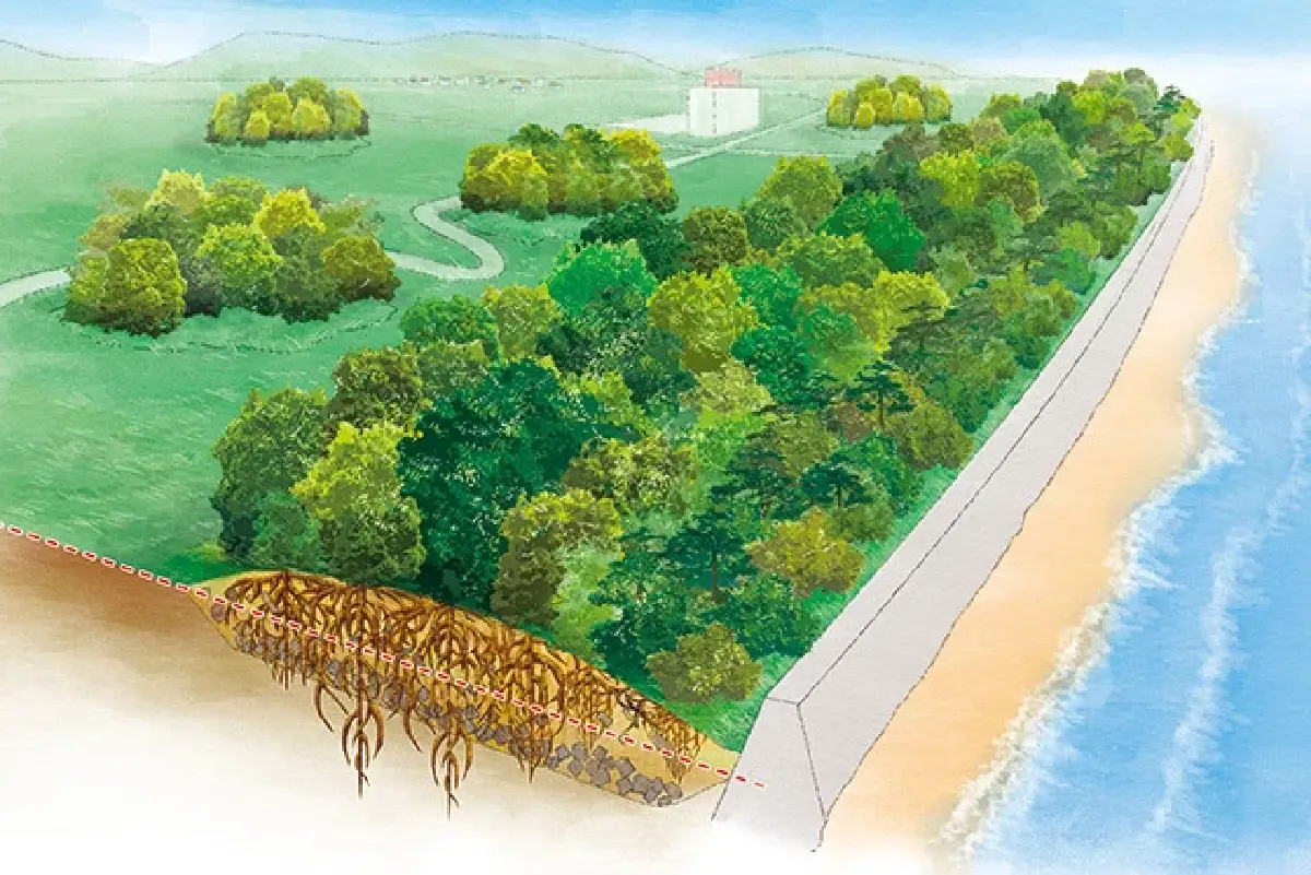 ภาพประกอบ (illustration) ที่อธิบายแนวคิดของแนวป่าและกำแพงควบคู่ ซึ่งช่วยให้เข้าใจองค์ประกอบของโครงการได้ง่ายในมุมมองเชิงสถาปัตยกรรมหรือแนวคิด