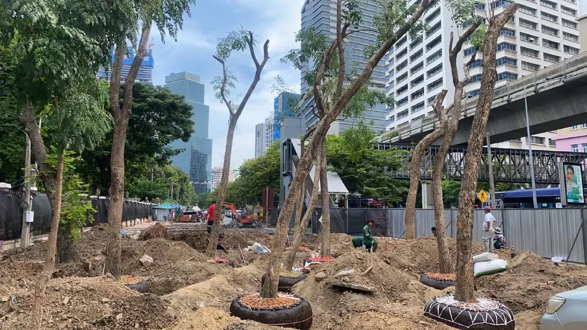กทม.สร้าง Hawker Center สวนลุมฯ ยกระดับสตรีทฟู้ด-ดูแลต้นไม้
