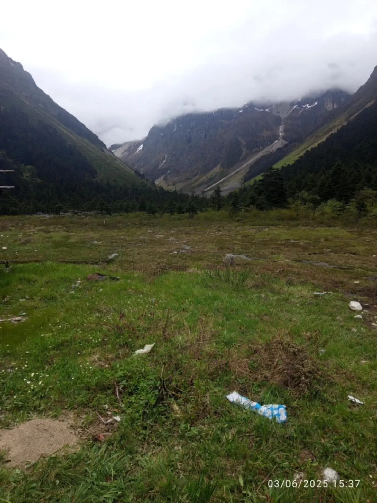 หลังน้ำท่วม ซึ่งเธอบอกว่ามาเร็วมาก