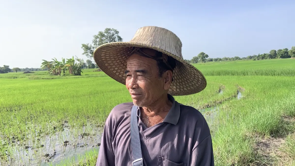 เรื่องร้ายร้าวของชาวนาจาก 'กระดูกสันหลัง' สู่ ‘เนื้อสัน’ ของชาติ